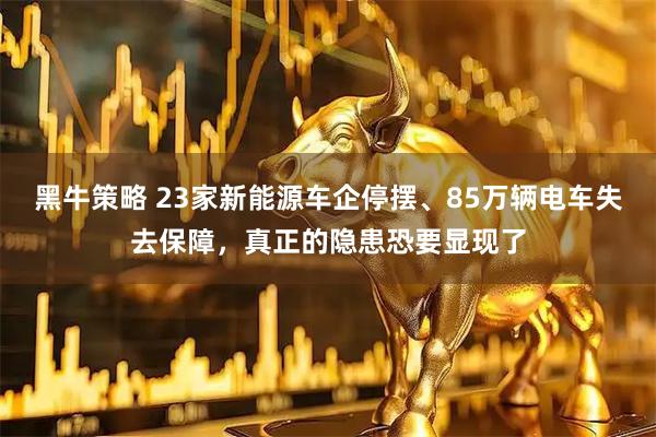 黑牛策略 23家新能源车企停摆、85万辆电车失去保障，真正的隐患恐要显现了