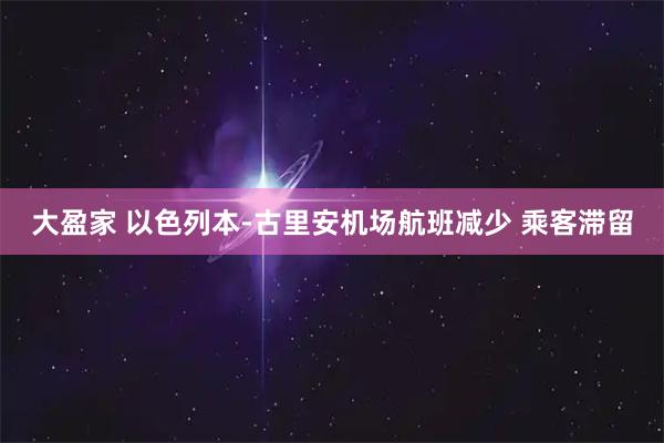 大盈家 以色列本-古里安机场航班减少 乘客滞留